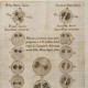 Il Cielo di Maggio 2014: pianeti, costellazione ed eventi astronomici del mese.