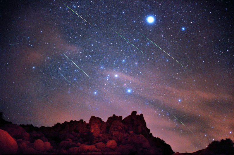 stelle cadenti nella costellazione del Cane Maggiore, sotto la