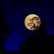 Harvest moon, la Luna del raccolto.