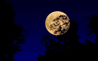 Harvest moon, la Luna del raccolto.