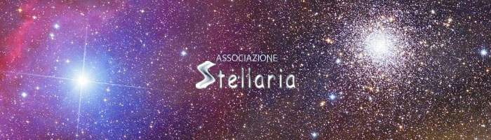 stellaria-banner